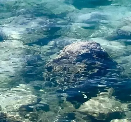De La Plage, Au Bord De La Διαμέρισμα *